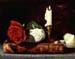 Still-life_with_a_red_rose._8x10_in.