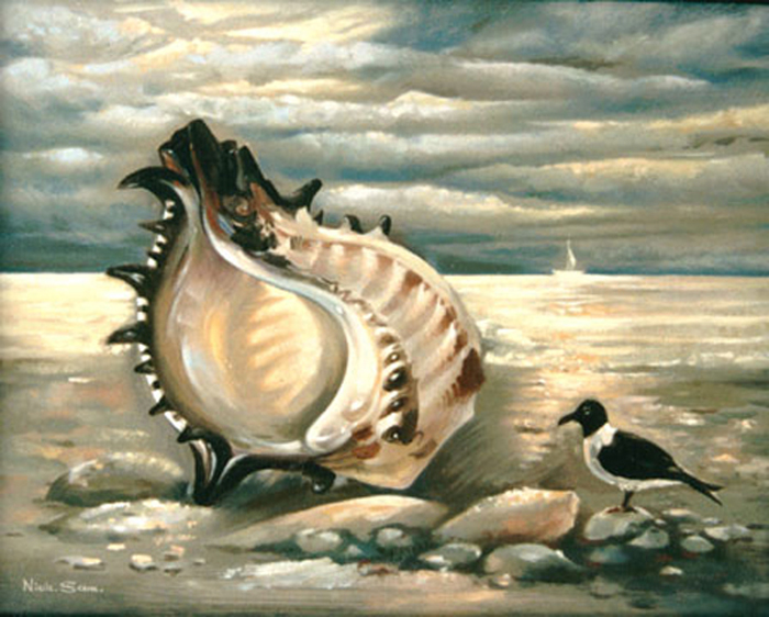 Shell._11x14_in.